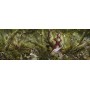 Puzzle 1000 piezas, Forest Song, Ortega (Panorama) en Puzzles de Hobbyteam