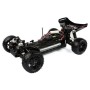 VRX Spirit Buggy 1/10 45Km/h (Brushed) en Buggy RC de Hobbyteam