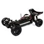 Coche rc Buggy Spirit EBD 1/10 45Km/h VRX
