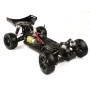 VRX Spirit Buggy 1/10 45Km/h (Brushed) en Buggy RC de Hobbyteam