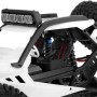 Coche RC Crawler Wltoys 12429 STORM 1/12 50Km/h (Brushed) en Coches Crawlers RC de Hobbyteam