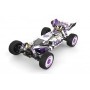 Coche RC Buggy Wltoys XKS 1/12 60Km/h (Brushed) 124019 en Buggy RC de Hobbyteam