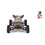 Coche RC Buggy Wltoys XKS 1/12 60Km/h (Brushed) 124019 en Buggy RC de Hobbyteam