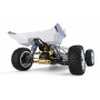 Coche RC Buggy Wltoys 124017 XKS 1/12 75Km/h (Brushless) en Buggy RC de Hobbyteam