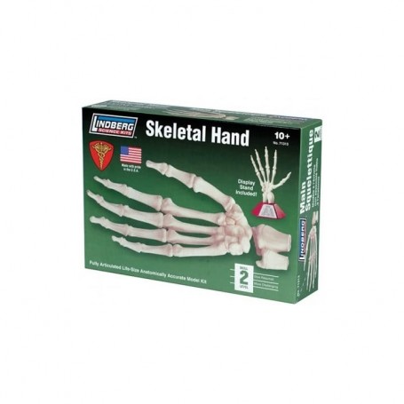 Kit para montar Esqueleto de Mano Indberg 71313