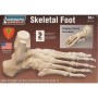 Kit para montar Esqueleto de Mano Indberg 71314