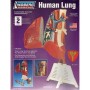 Kit para Montar y Pintar un Pulmón Humano Lindberg 71311 en Juegos Educativos & Robótica de Hobbyteam