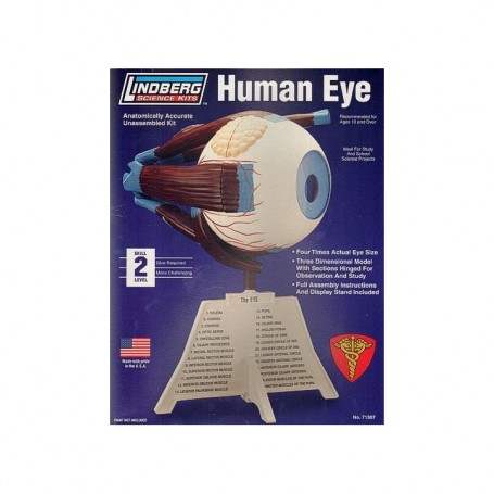 Kit para Montar y Pintar un Ojo Humano Lindberg 71307