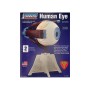 Kit para Montar y Pintar un Ojo Humano Lindberg 71307