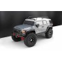 RGT Desert FOX RTR 1/10 (Brushed) en Coches Crawlers RC de Hobbyteam
