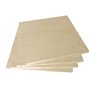 CONTRACHAPADO ABEDUL 5 X 247 X 498 MM