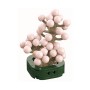 Plantas en Kit Cubix (6 modelos)