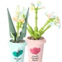 Plantas con maceta en Kit Cubix (10 modelos)