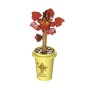 Plantas con maceta en Kit Cubix (10 modelos)