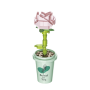 Plantas con maceta en Kit Cubix (10 modelos)