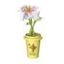 Plantas con maceta en Kit Cubix (10 modelos)
