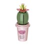 Plantas con maceta en Kit Cubix (10 modelos)