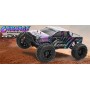 Coche RC Monster Truck FTX CARNAGE 2.0 1/10 60Km/h (Brushless) en Coches RC Eléctricos Brushless de Hobbyteam