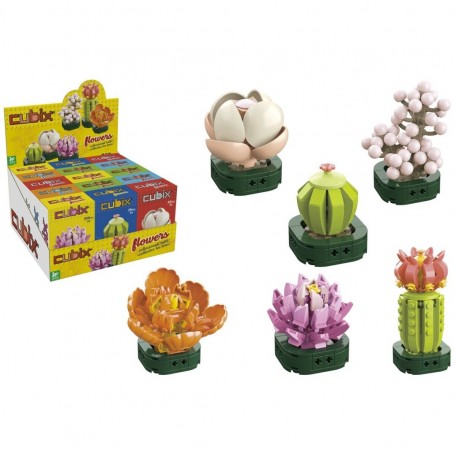 Plantas en Kit Cubix (6 modelos)