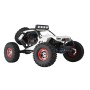 Pack Coche RC Crawler Wltoys 12429 STORM con 2 Baterías en Packs Hobbyteam de Hobbyteam