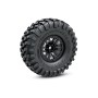 Kit Coche RC Crawler Traxxas TRX-4 Clipless (para montar) en Coches RC para montar de Hobbyteam