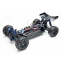 Coche RC Buggy FTX VANTAGE 2.0 1/10 70km/h (Brushless) en Buggy RC de Hobbyteam