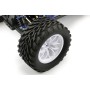 Coche RC Monster Truck FTX Bugsta 1/10 45Km/h (Brushed) en Coches RC Eléctricos Brushed de Hobbyteam