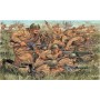 INFANTERIA RUSA, II GUERRA MUNDIAL         