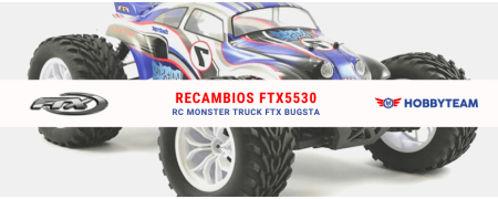 Coche RC FTX BUGSTA