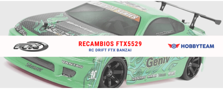Coche RC FTX BANZAI