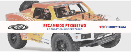 Coche RC FTX ZORRO